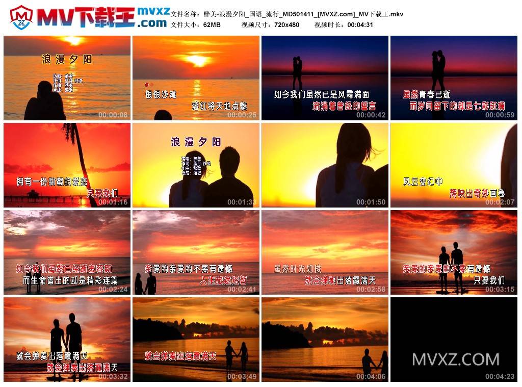 醉美-浪漫夕阳_国语_流行_MD501411